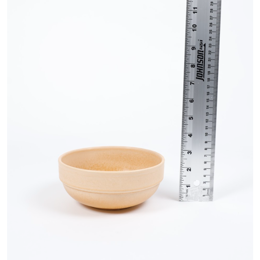 Terracotta Bowl (2)